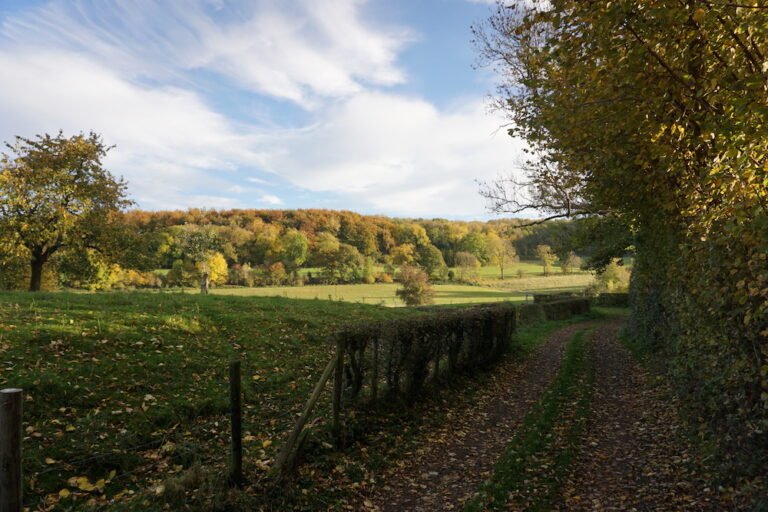 Wandelen Zuid Limburg